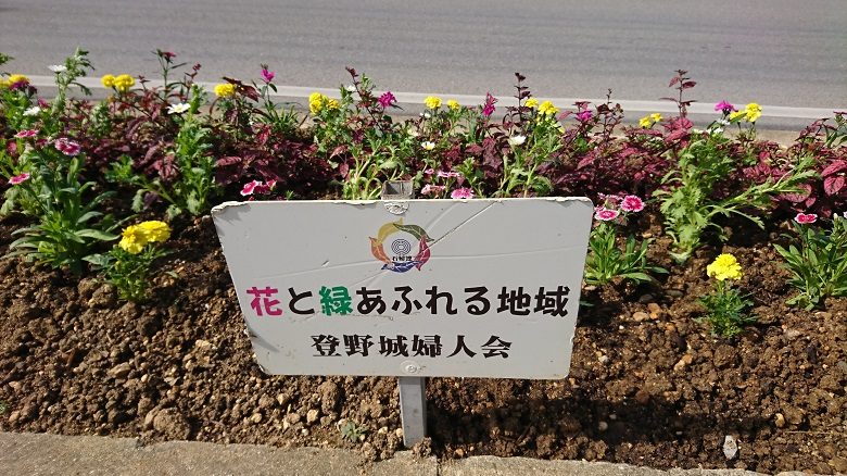 春を感じる鮮やかな花壇 スタッフ通信 やいまタイム