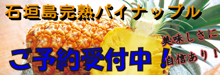 パインバナー
