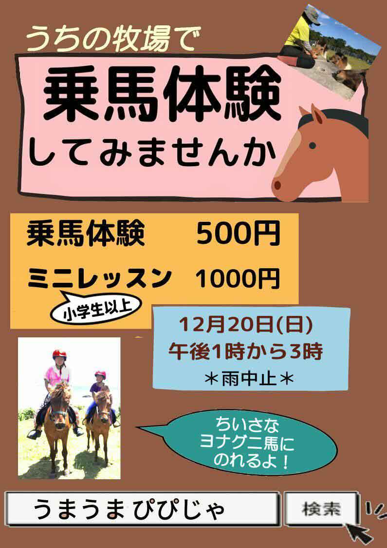 んまんま ぴぴじゃ牧場 乗馬体験 んまんま ぴぴじゃ牧場 八重山スケジュール やいまタイム