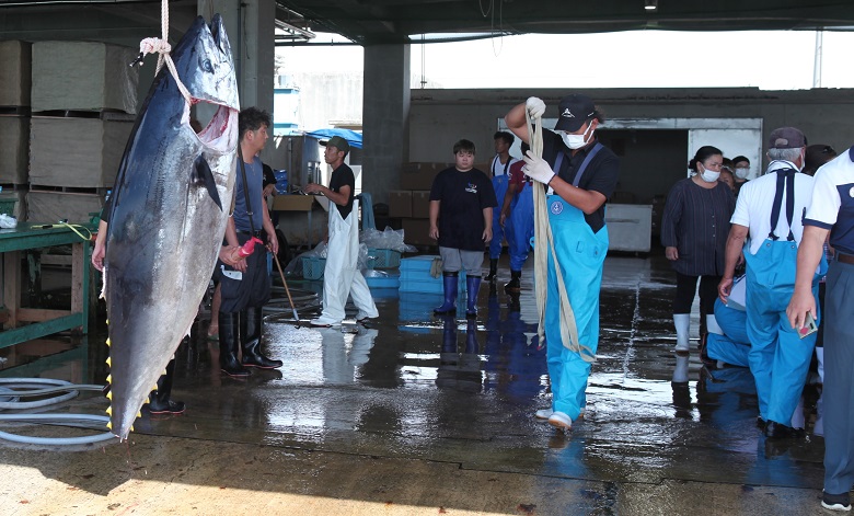 本マグロ漁の採捕停止命令 3週間以上早い4年目の命令 - やいま