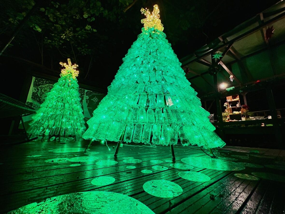 ボトルツリー ⻄表島ホテル】～ペットボトルをアップサイクルしたクリスマスツリーを