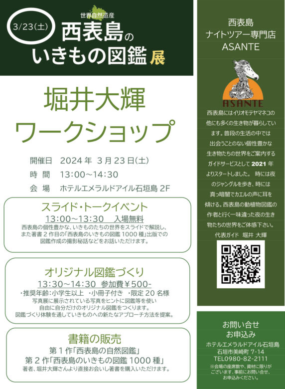 堀井大輝「西表島のいきもの図鑑展」ワークショップ - 八重山