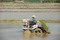 日本一早い田植え