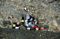 新川川河口に捨てられるゴミ