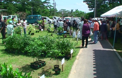 生活環境緑化木即売会