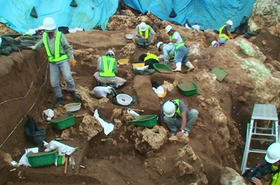 白保竿根田原洞穴遺跡で貴重な発見の連続