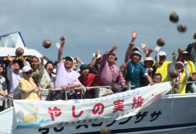 やしの実流し