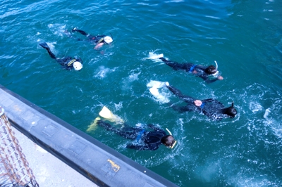 潜水士訓練で7人のダイバーが訓練