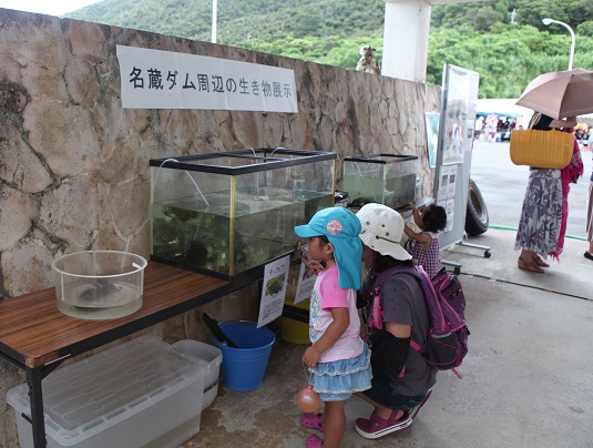 石垣島ダムまつりで賑わう人工水辺