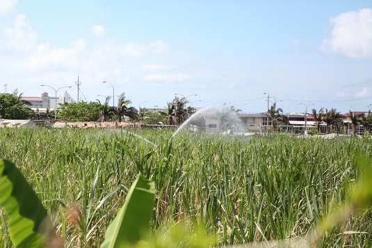 農産物の管理に注意