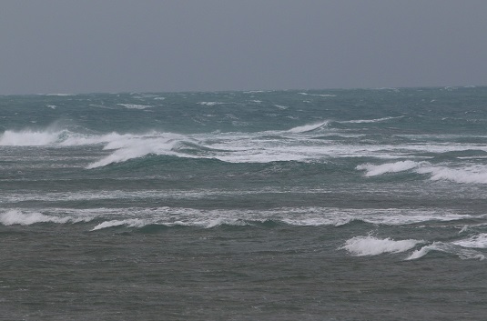 石垣島でも強風の台風