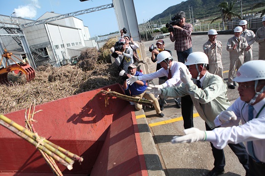 石垣島製糖が操業開始