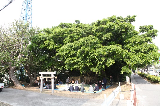 イヤナス御嶽で種子取祭