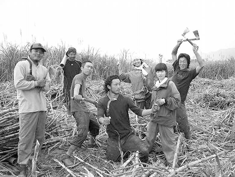 西表島のキビ刈り援農隊(1)
