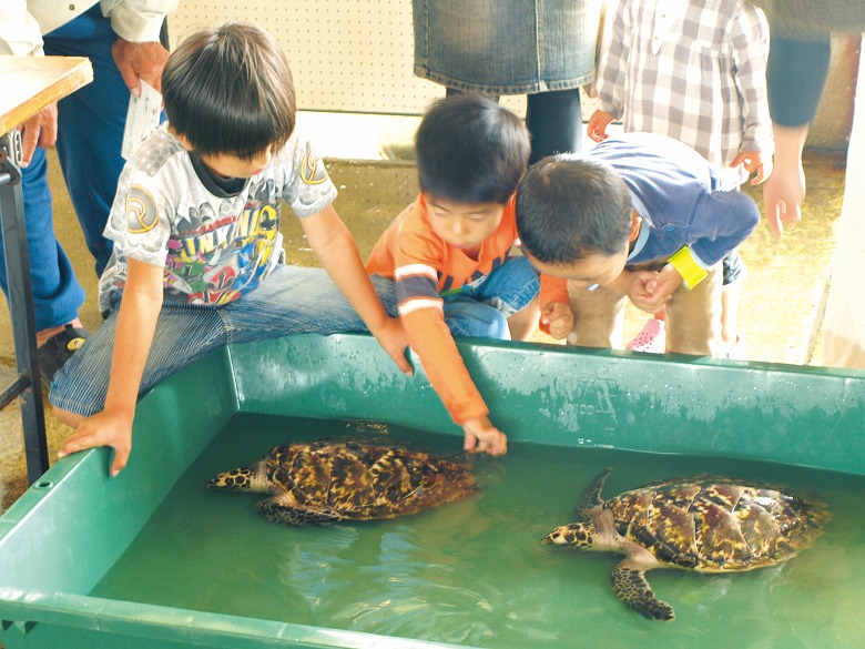 第8回お魚まつり