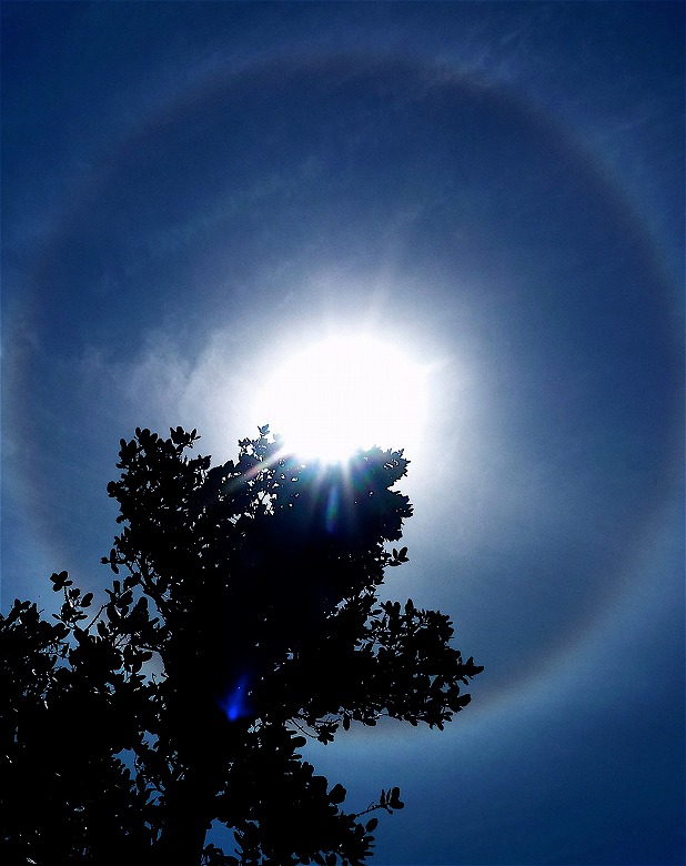 太陽に虹の輪