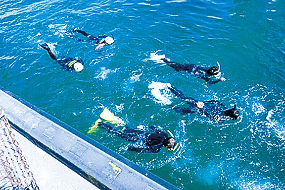 7人のダイバーが潜水士訓練