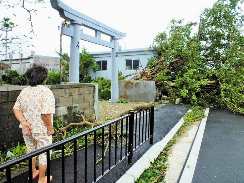 台風17号で、最大瞬間風速50・6メートルを記録