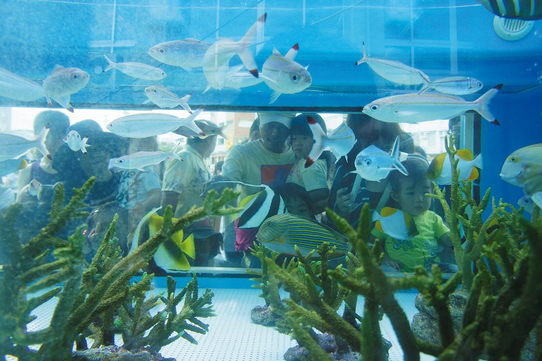 石垣や西表で美ら海移動水族館が開かれる