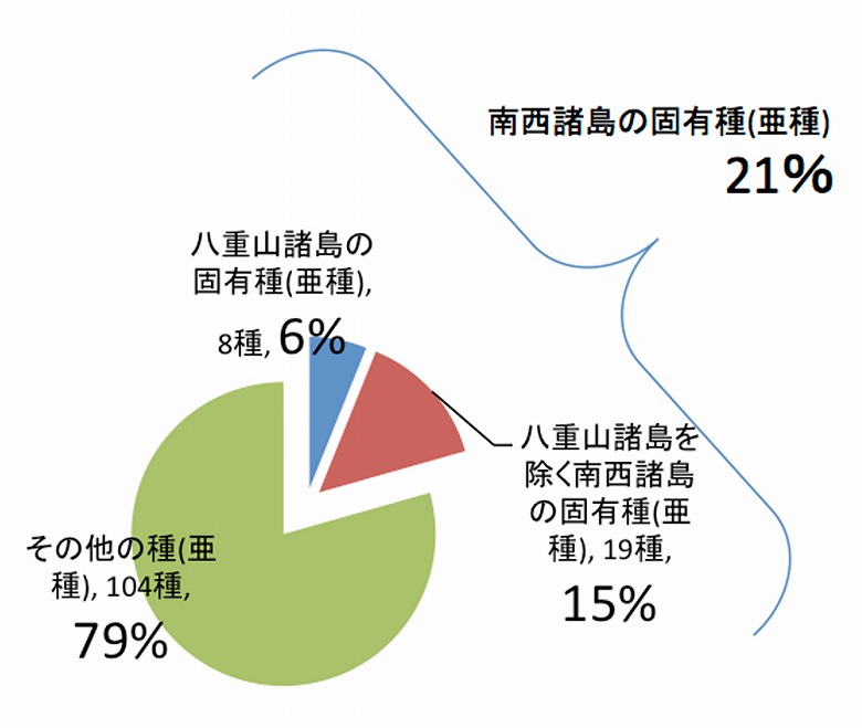 第50回　名蔵アンパルの動植物たちシリーズ（15）　アンパルの野鳥たち(1)