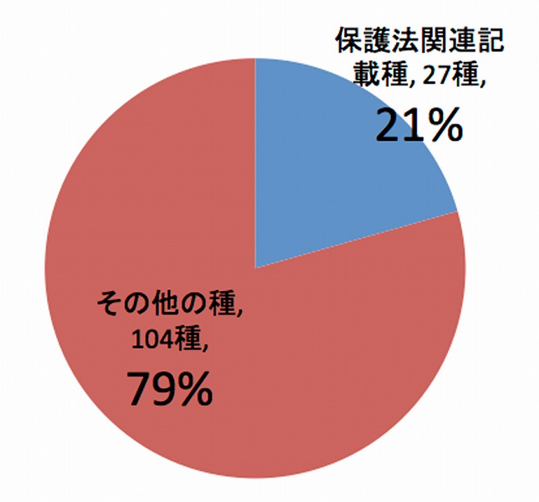 第50回　名蔵アンパルの動植物たちシリーズ（15）　アンパルの野鳥たち(1)